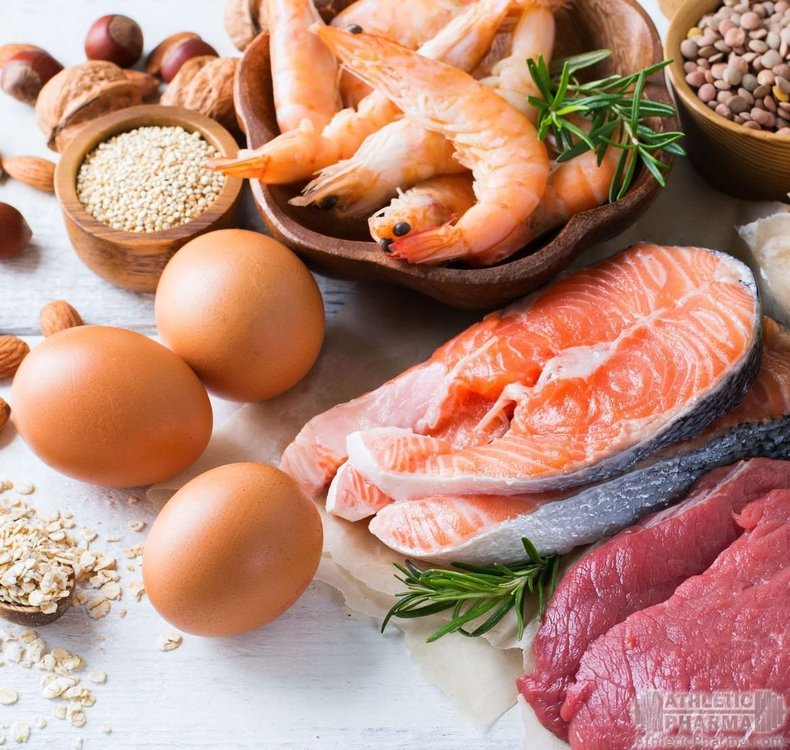 Белковые продукты питания