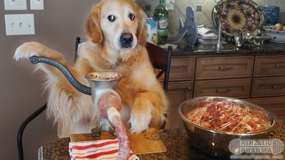 Собака крутит колбасу (мем)