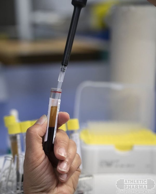 Проба крови (анализ)