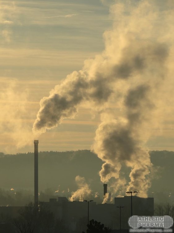 Загрязнение окружающей среды