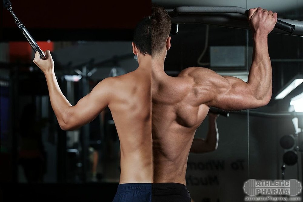 Ошибки при наборе мышечной массы