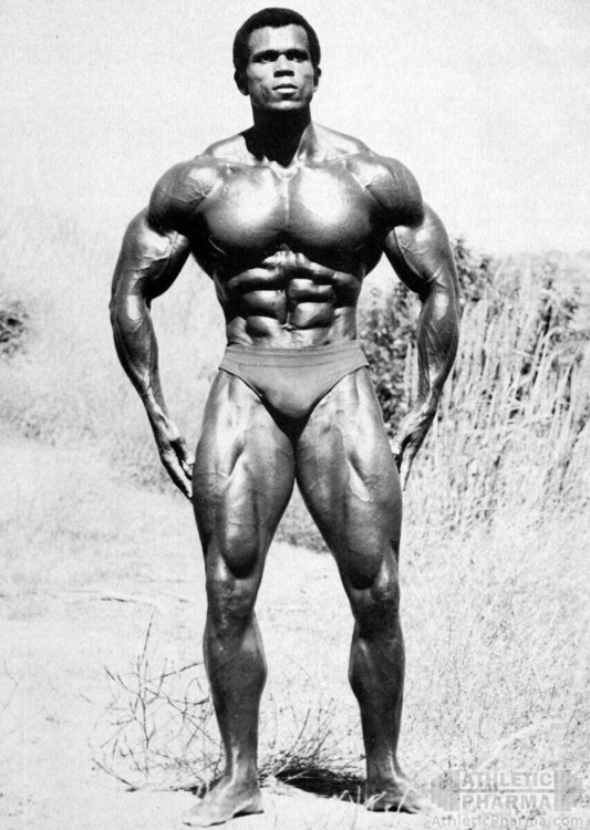 Мускулатура Сержа Нюбре