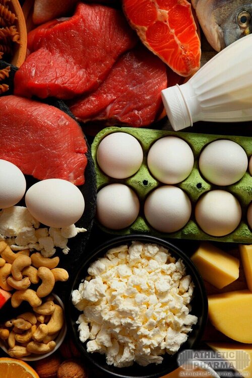 Лучшие белковые продукты