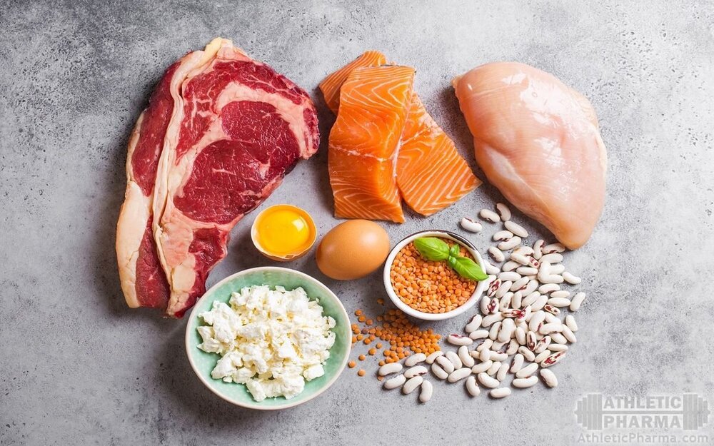 Богатые белком продукты питания