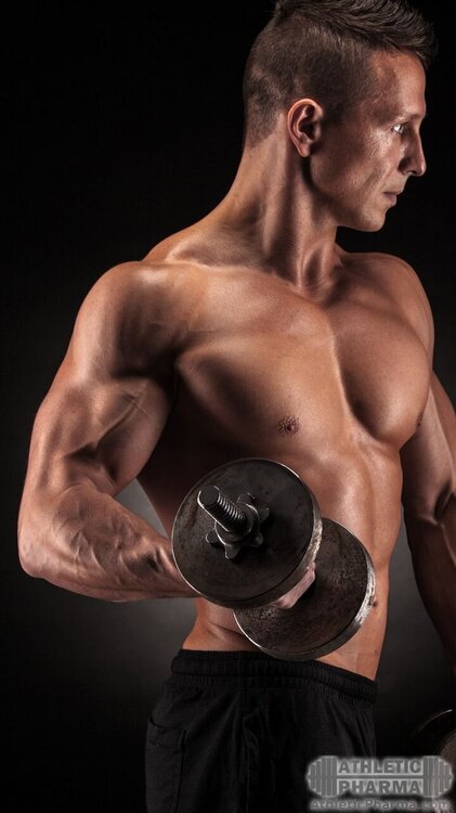 Мышцы торса (фото сбоку)