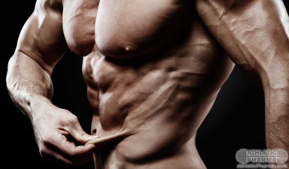 Сосудистые мышцы рук