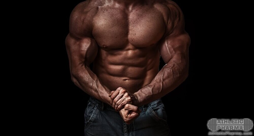 Венозная мускулатура мужчины