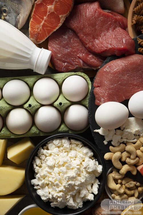 Лучшие источники белка