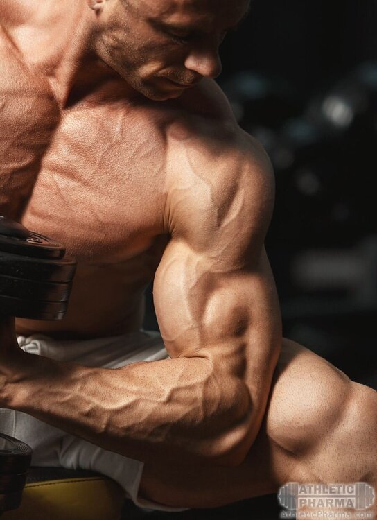 Накаченные мышцы рук