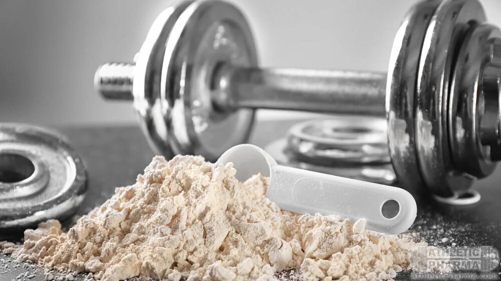 Протеин (белок) для наращивания мышц