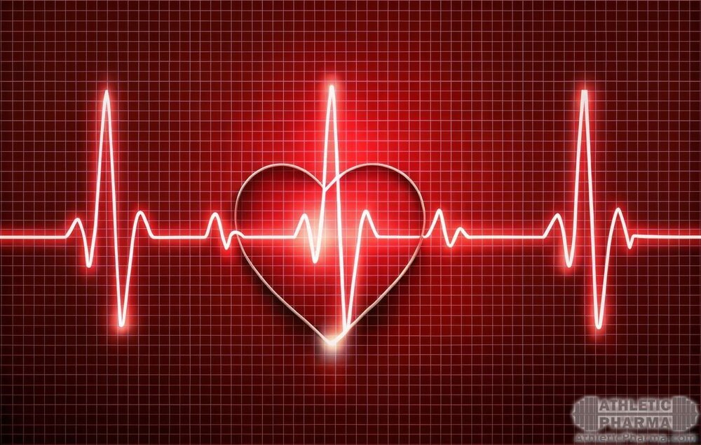 Пульс сердца