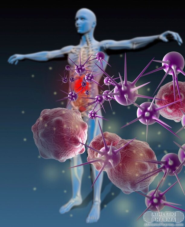 Иммунитет организма человека