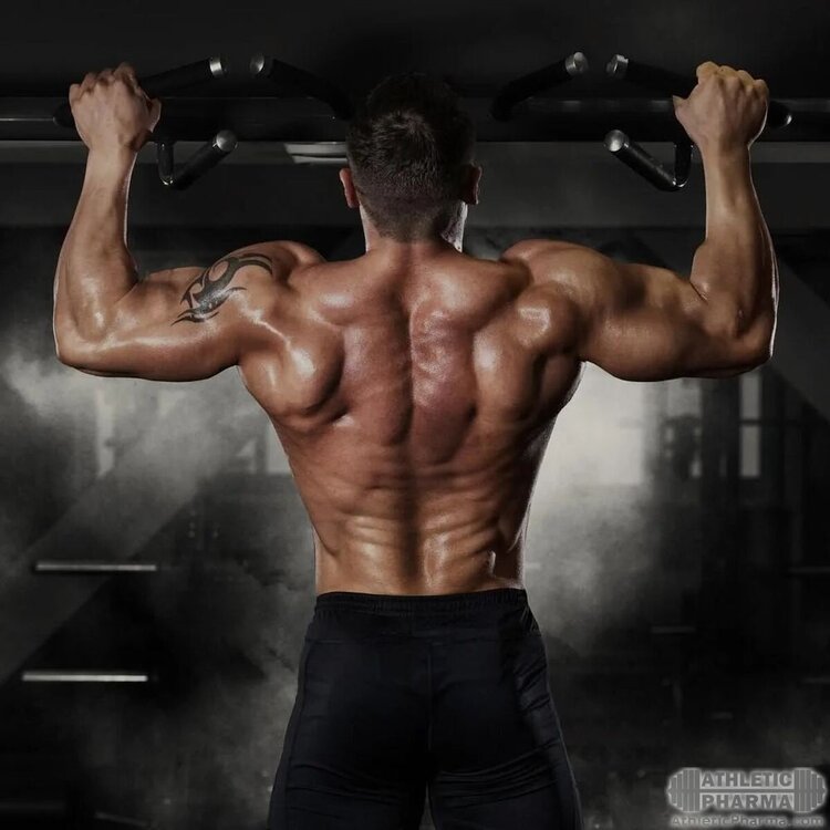 Мускулистая спина мужчины