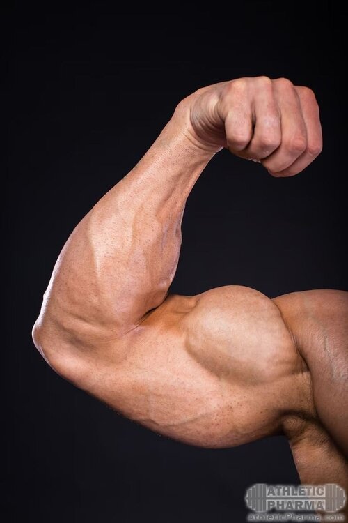 Мускулистая мужская рука