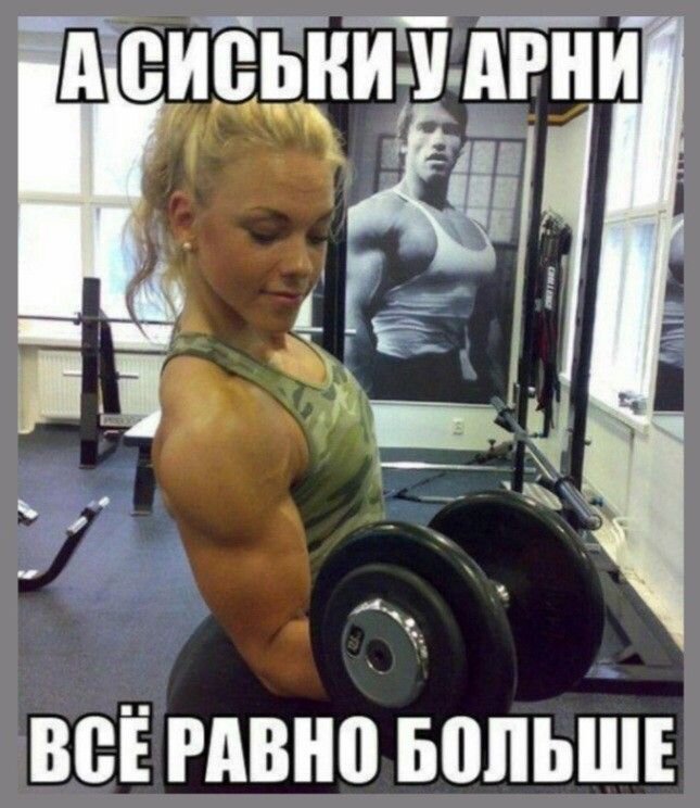 f796e7f2540fd64601b531ff402533b2.jpg