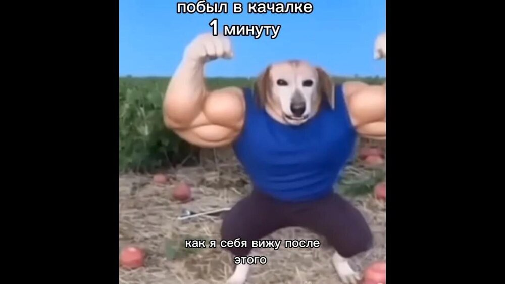 maxresdefault.jpg