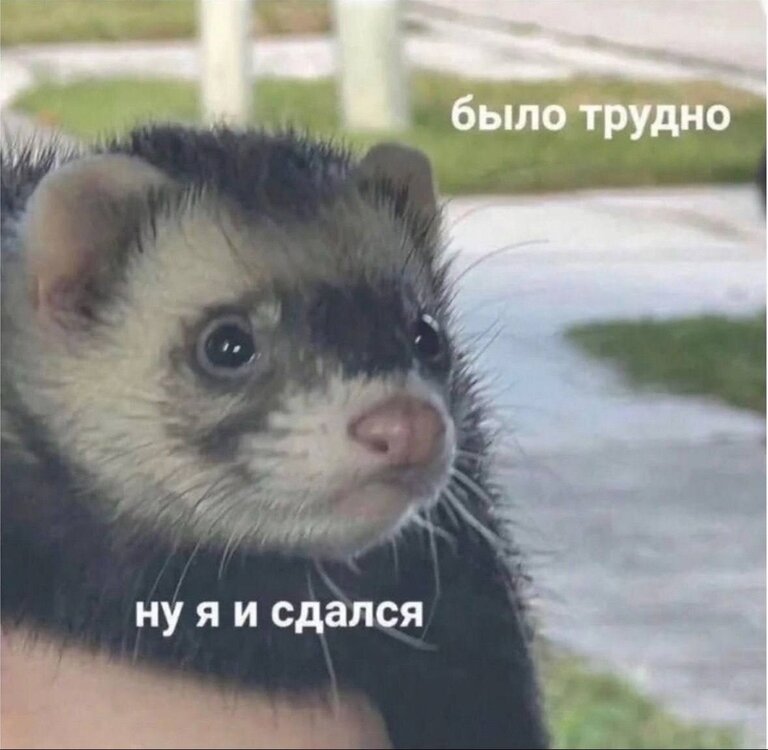 SYdbxdOLpg5Q4hKH6hXLv02XNS-HiLnGwUy6Xg-JyHvpjE8JrfGz36VsERoVxLHzhR-zevQwoiy1ceTCszn8DANR.jpg
