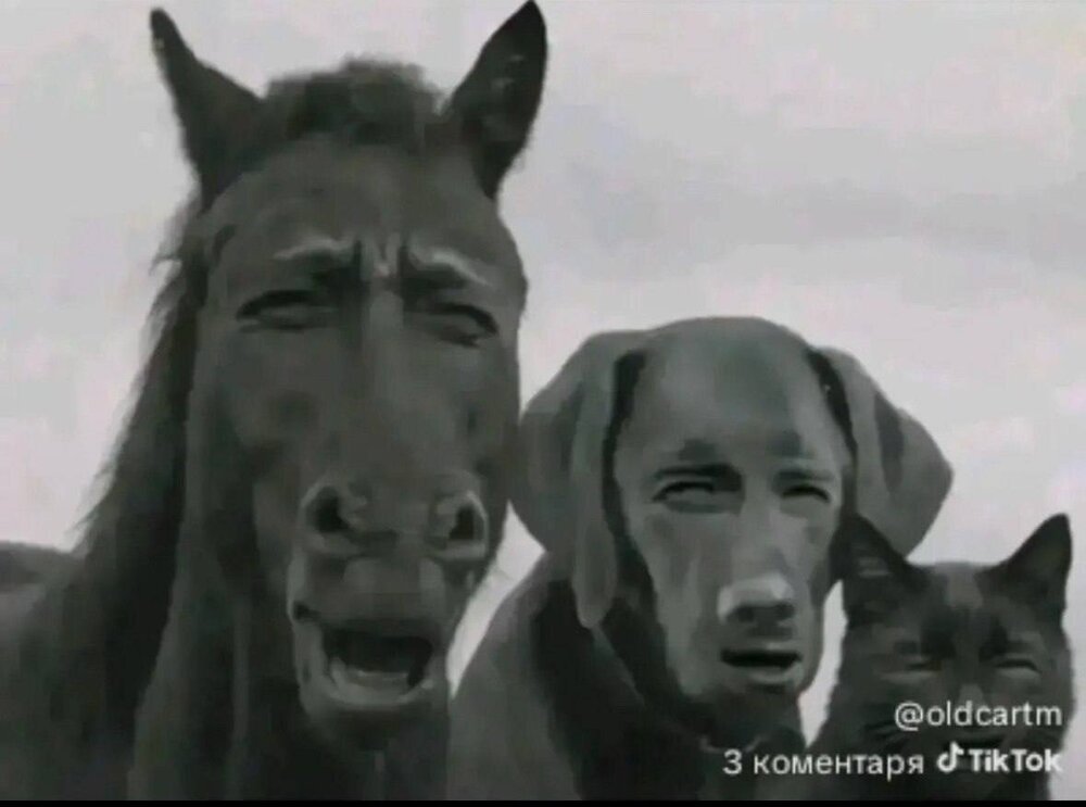 m8ebLp0Ip1OBIksrOWGYE-g0-riLAIhqmRjaexU3sSYgEHDwD7ZYxBBphi8Fko6y6A5PIKBqupAYESXqhVq0sMRE.jpg
