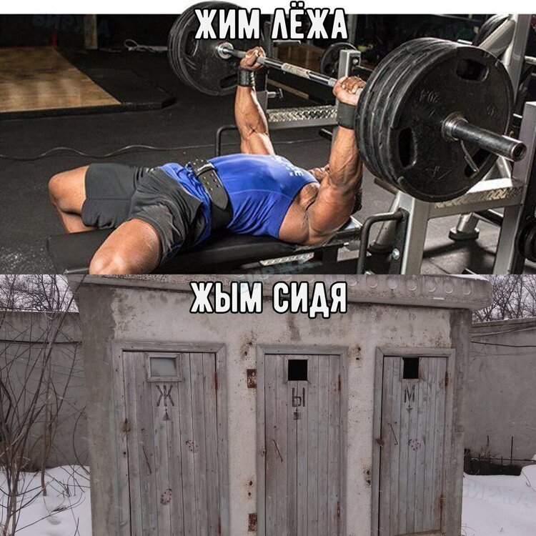 scale_1200.jpg