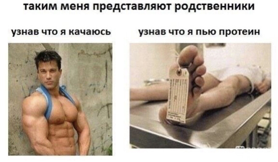 38083624_900.jpg
